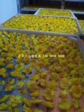 金花茶（干花）